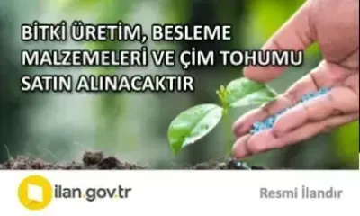 BİTKİ ÜRETİM, BESLEME MALZEMELERİ VE ÇİM TOHUMU SATIN ALINACAKTIR