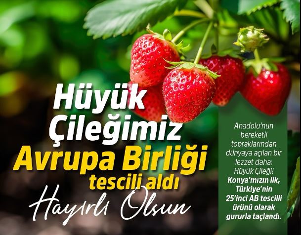 70425_wysiwyg_cnvrtimage_4.jpeg