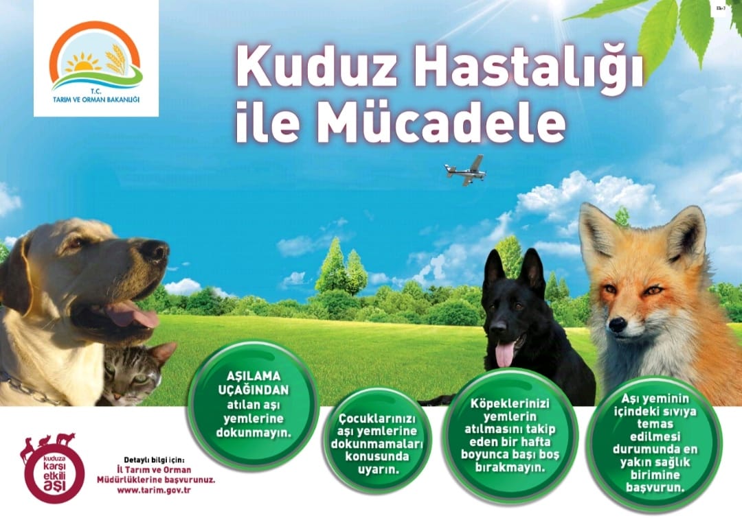 76580_wysiwyg_cnvrtimage_1.jpeg