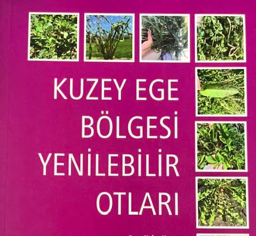 86940_wysiwyg_cnvrtimage_1.jpeg