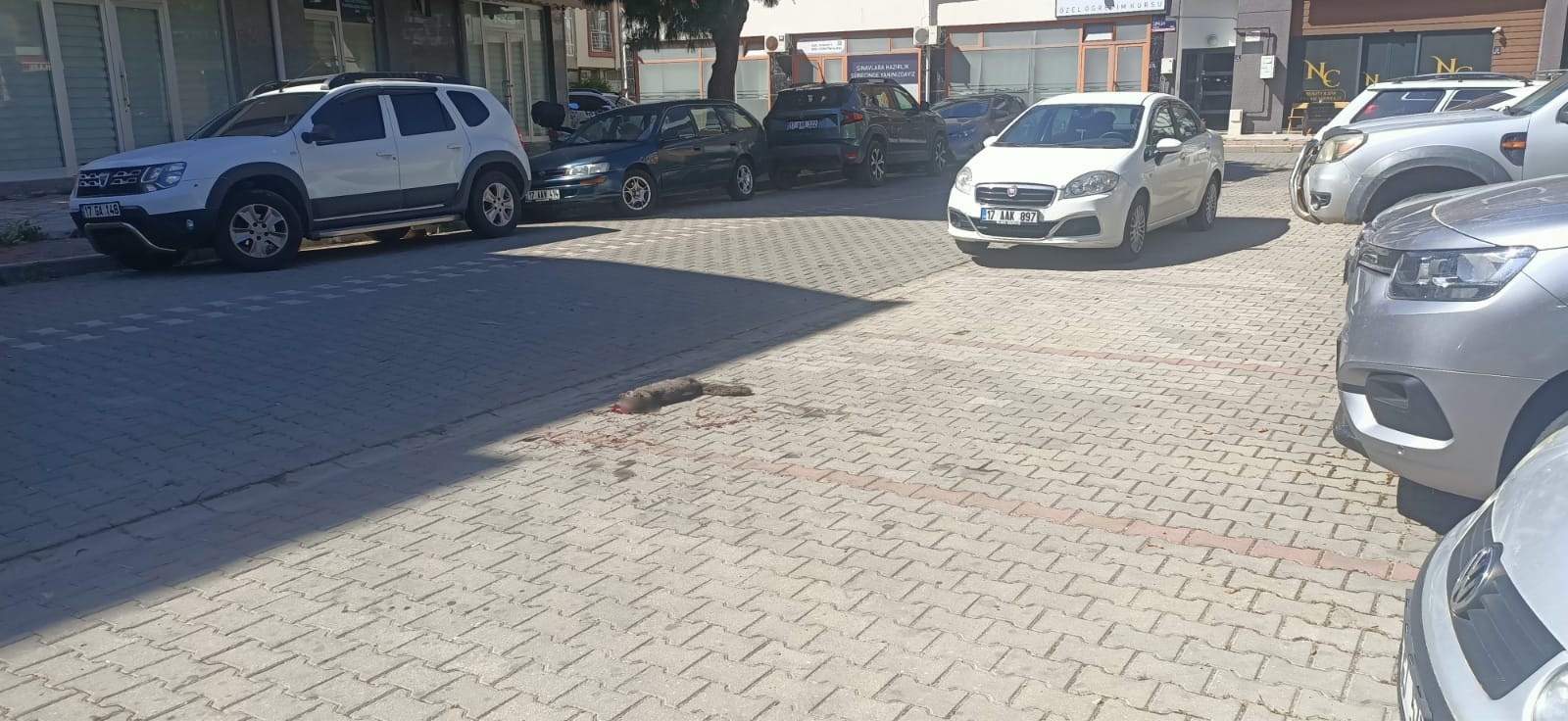 90914_wuciwug_34111826_vicdanlari-sizl.jpeg