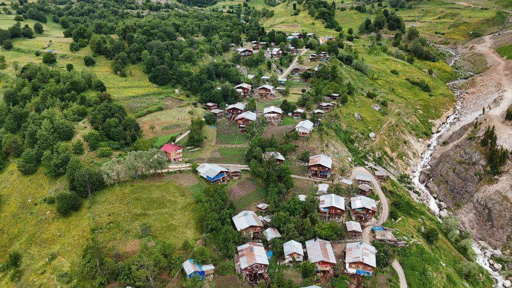 103729_wuciwug_94d4c8e8_artvin-in-sakli.jpeg