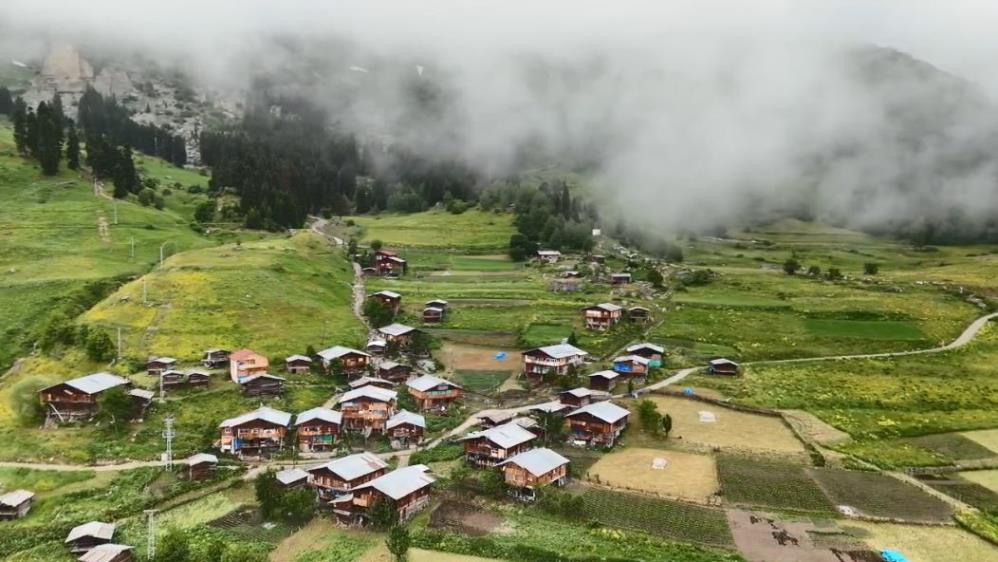 103729_wuciwug_a271e499_artvin-in-sakli.jpeg