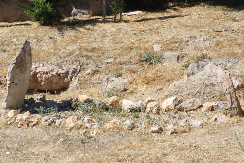 107537_wuciwug_1ced8e65_haymana-bir-can.jpeg