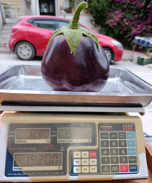 108841_wuciwug_00c00af2_1-kilo-280-gram.jpeg