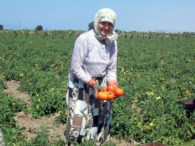 109038_wuciwug_7c95647b_canakkale-domat.jpeg
