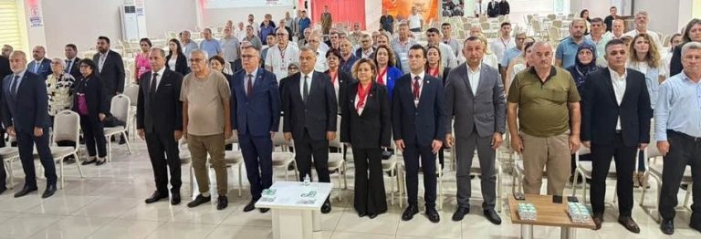 109651_wuciwug_11d1484b_can-da-chp-ilha.jpeg