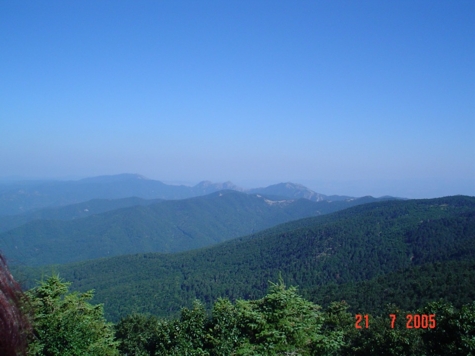 6432_wuciwug_0a265963_yesil-dunya-kaz.jpeg